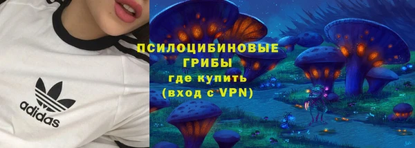 МДПВ Алзамай
