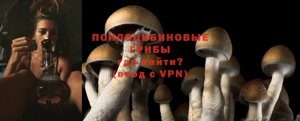 тгк Алексеевка