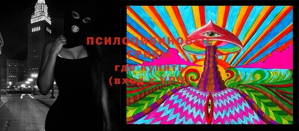 МДПВ Алзамай