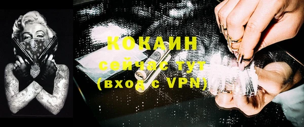 индика Алексин