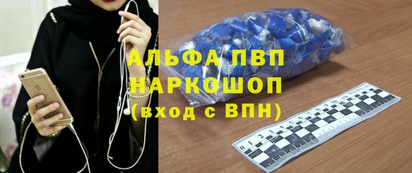 индика Алексин