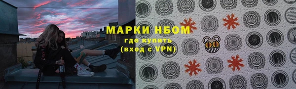 индика Алексин