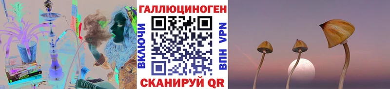 OMG вход  Аргун  Галлюциногенные грибы GOLDEN TEACHER 